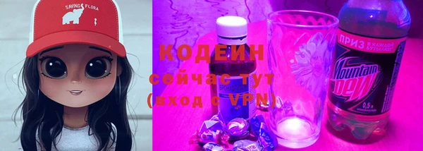 СК Богородицк