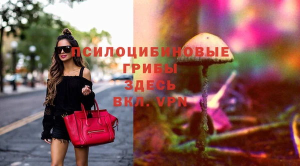 СК Богородицк