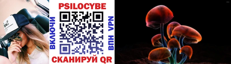 купить наркоту Видное Галлюциногенные грибы прущие грибы